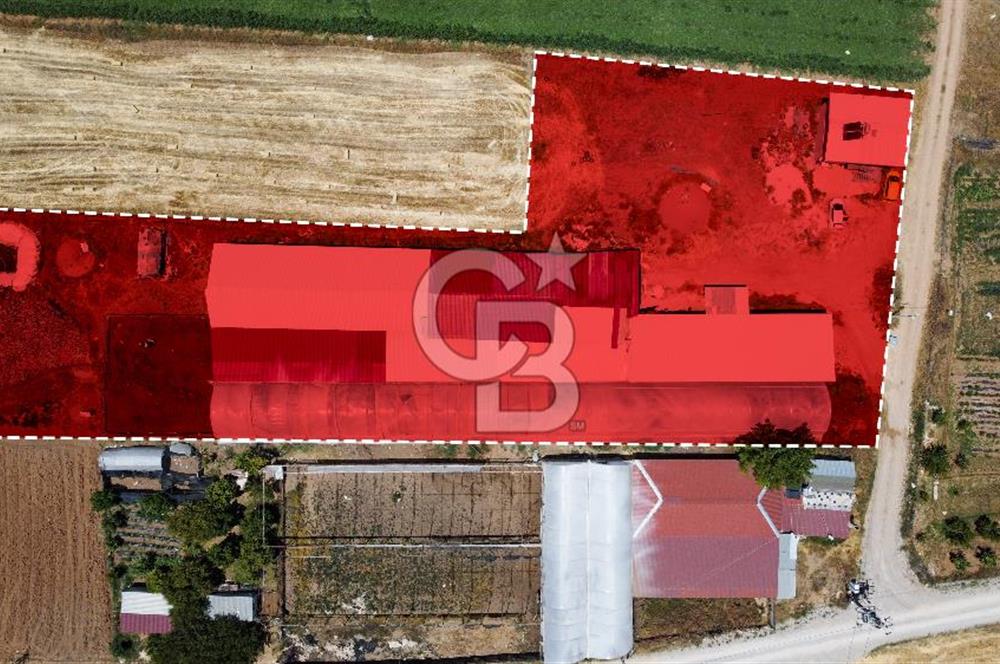 100 Büyükbaş 4.468 m² Genişletmeye Uygun Çiftlik ve 2 Katlı Ev