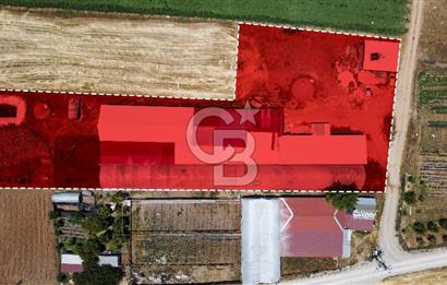 100 Büyükbaş 4.468 m² Genişletmeye Uygun Çiftlik ve 2 Katlı Ev