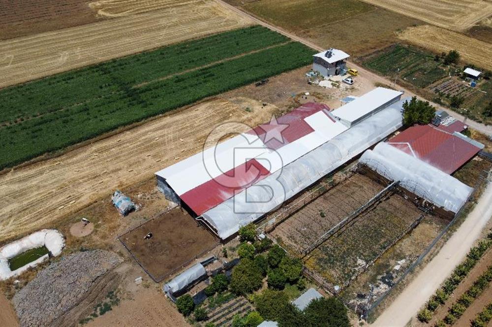 100 Büyükbaş 4.468 m² Genişletmeye Uygun Çiftlik ve 2 Katlı Ev