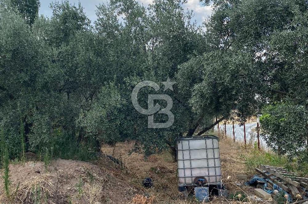 Manisa Ahmetli’de Satılık 388 m2 Bahçe 