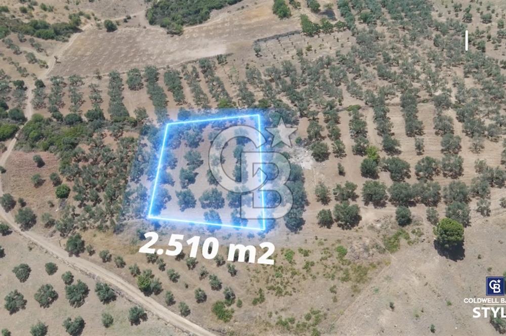 ALİAĞA HELVACI KÖYÜ'NDE SATILIK TARLA