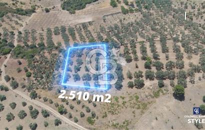 ALİAĞA HELVACI KÖYÜ'NDE SATILIK TARLA