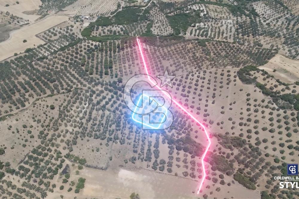 ALİAĞA HELVACI KÖYÜ'NDE SATILIK TARLA