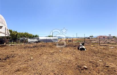 100 Büyükbaş 4.468 m² Genişletmeye Uygun Çiftlik ve 2 Katlı Ev