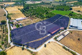 SEFERİHİSAR TURGUT'TA SATILIK ÇİFTLİK ARAZİSİ