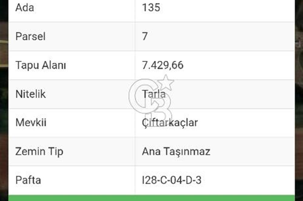 TEMELLİ ÇOKÖREN SATILIK TARLA