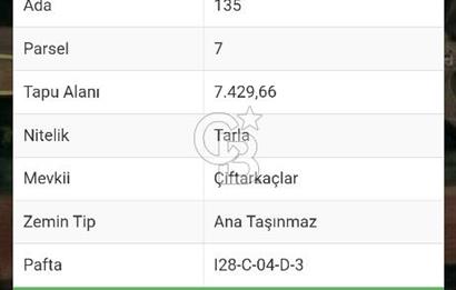 TEMELLİ ÇOKÖREN SATILIK TARLA
