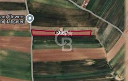 TEMELLİ ÇOKÖREN SATILIK TARLA