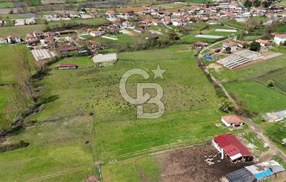 KAZDAĞLARI'NDA SAĞLIKLI YAŞAM FIRSATI - İMARLI 1297 m² ARSA !