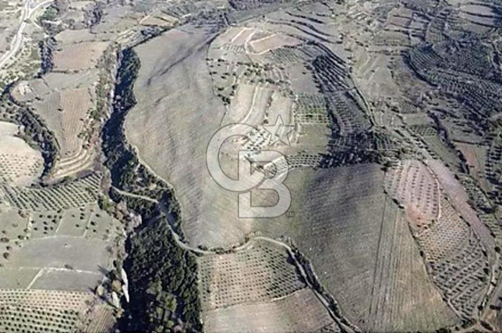 MANİSA ALAŞEHİR SOĞANLI'DA SATILIK BAHÇE