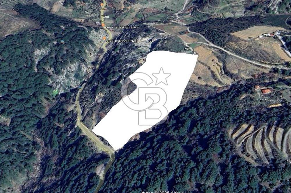 İzmir Kavacık 23.196,68 m2 Bağ ve Zeytinlik Olan Satılık Arsa