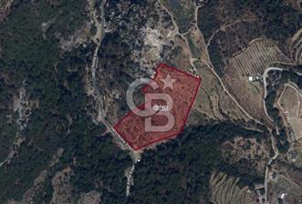 İzmir Kavacık 23.196,68 m2 Bağ ve Zeytinlik Olan Satılık Arsa