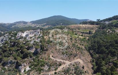 İzmir Kavacık 23.196,68 m2 Bağ ve Zeytinlik Olan Satılık Arsa