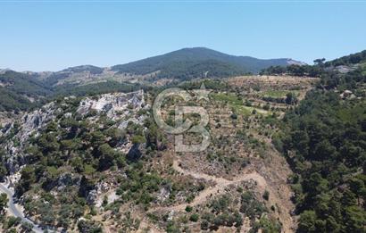 İzmir Kavacık 23.196,68 m2 Bağ ve Zeytinlik Olan Satılık Arsa