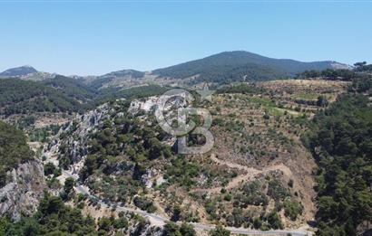 İzmir Kavacık 23.196,68 m2 Bağ ve Zeytinlik Olan Satılık Arsa