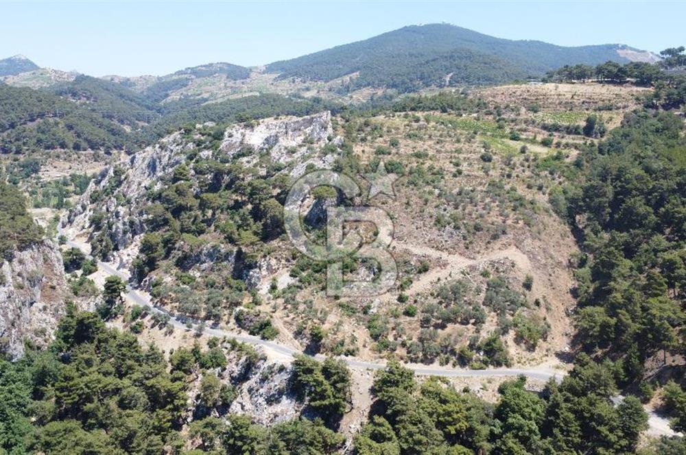 İzmir Kavacık 23.196,68 m2 Bağ ve Zeytinlik Olan Satılık Arsa