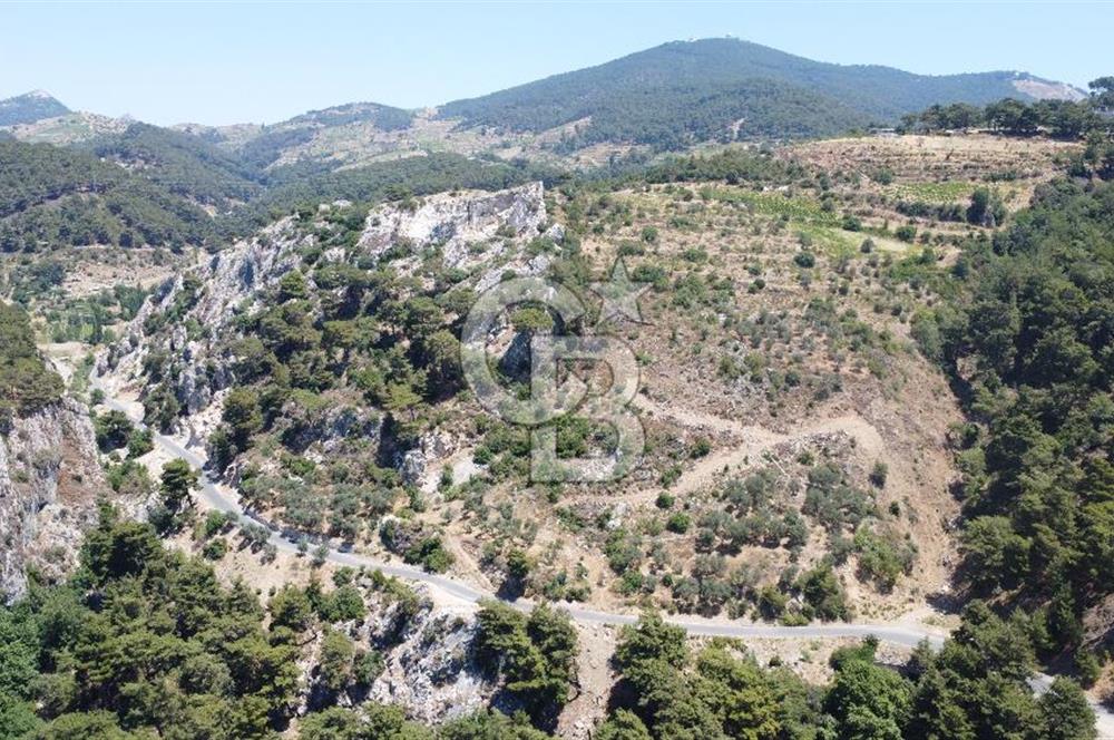 İzmir Kavacık 23.196,68 m2 Bağ ve Zeytinlik Olan Satılık Arsa