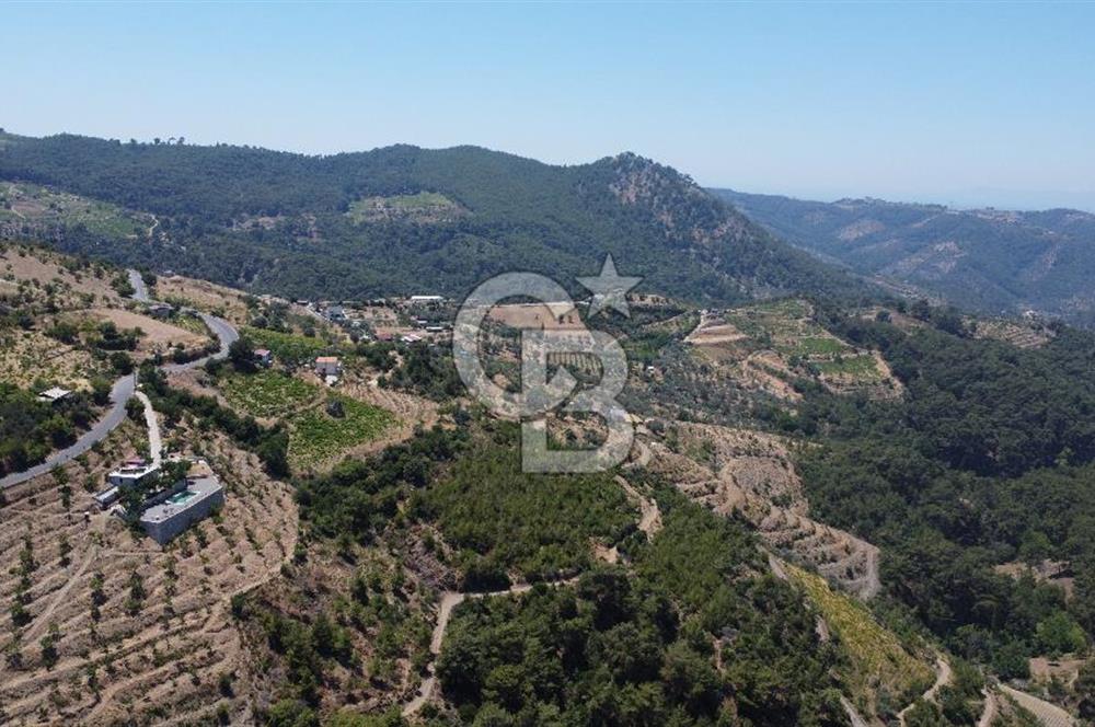 İzmir Kavacık 23.196,68 m2 Bağ ve Zeytinlik Olan Satılık Arsa
