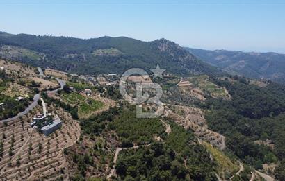 İzmir Kavacık 23.196,68 m2 Bağ ve Zeytinlik Olan Satılık Arsa