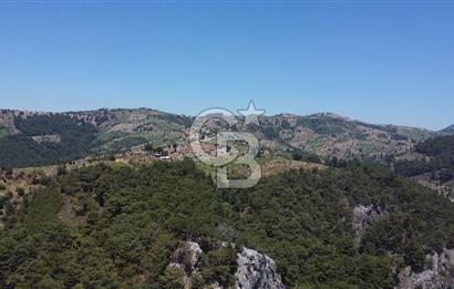 İzmir Kavacık 23.196,68 m2 Bağ ve Zeytinlik Olan Satılık Arsa