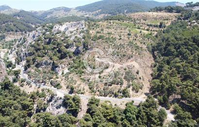 İzmir Kavacık 23.196,68 m2 Bağ ve Zeytinlik Olan Satılık Arsa