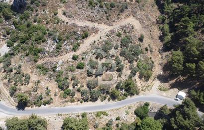 İzmir Kavacık 23.196,68 m2 Bağ ve Zeytinlik Olan Satılık Arsa