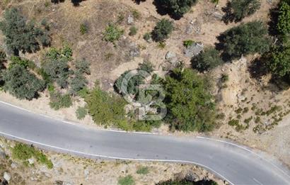 İzmir Kavacık 23.196,68 m2 Bağ ve Zeytinlik Olan Satılık Arsa