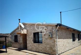 ALİAĞA KARAKUZU KÖYÜNDE SATILIK KÖY EVİ 5290 M2 ZEYTİNLİK