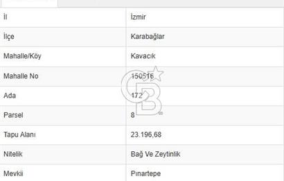 İzmir Kavacık 23.196,68 m2 Bağ ve Zeytinlik Olan Satılık Arsa