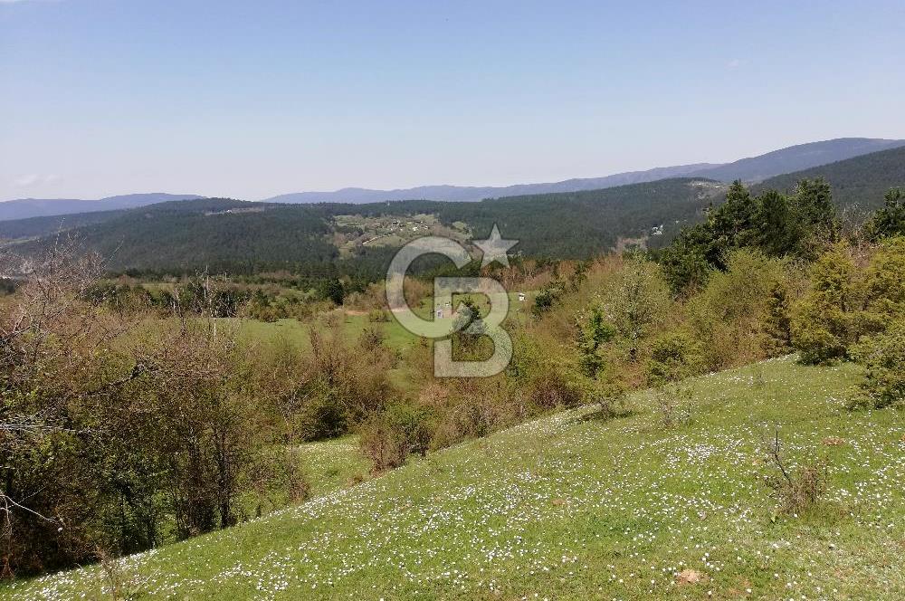 BOLU MENGEN DÜZAĞAÇ KÖYÜ SATILIK TARLA