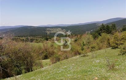 BOLU MENGEN DÜZAĞAÇ KÖYÜ SATILIK TARLA
