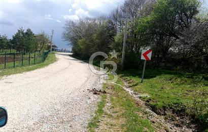 BOLU MENGEN DÜZAĞAÇ KÖYÜ SATILIK TARLA