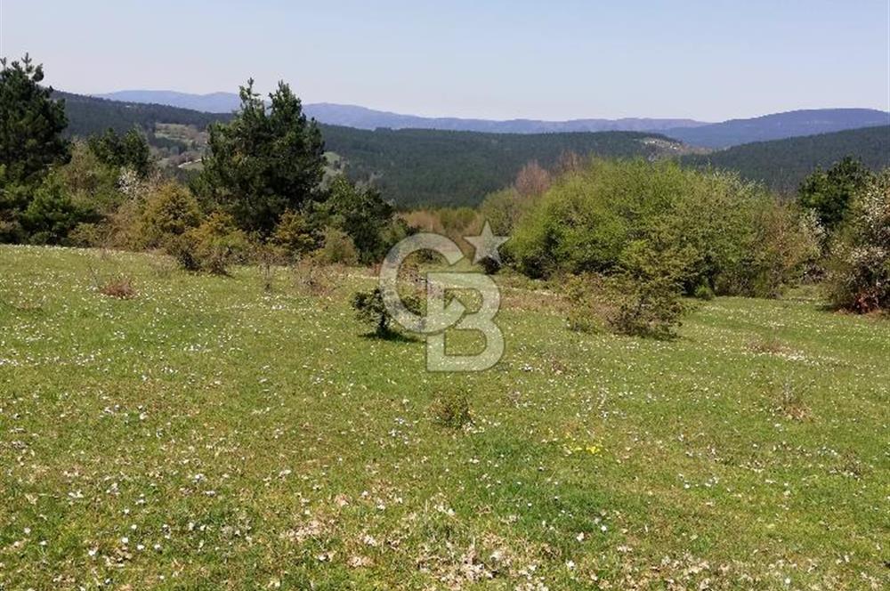 BOLU MENGEN DÜZAĞAÇ KÖYÜ SATILIK TARLA
