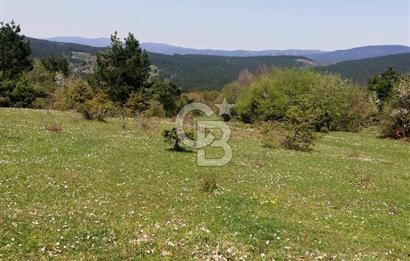 BOLU MENGEN DÜZAĞAÇ KÖYÜ SATILIK TARLA