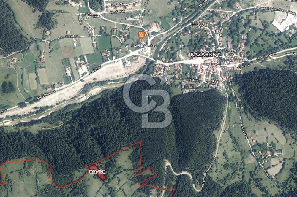 BOLU MENGEN DÜZAĞAÇ KÖYÜ SATILIK TARLA
