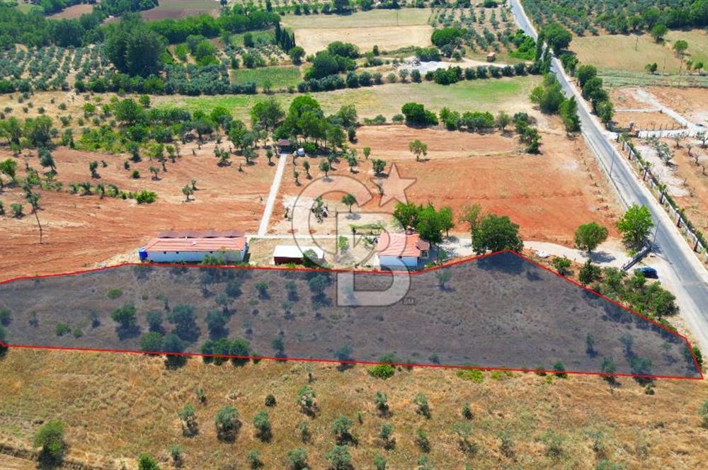 Muğla Yerkesik satılık tarla