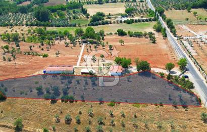 Muğla Yerkesik satılık tarla