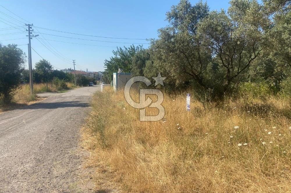 YALOVA ALTINOVA KAYTAZDERE SATILIK KÖŞE ARSA!. (441 M2)