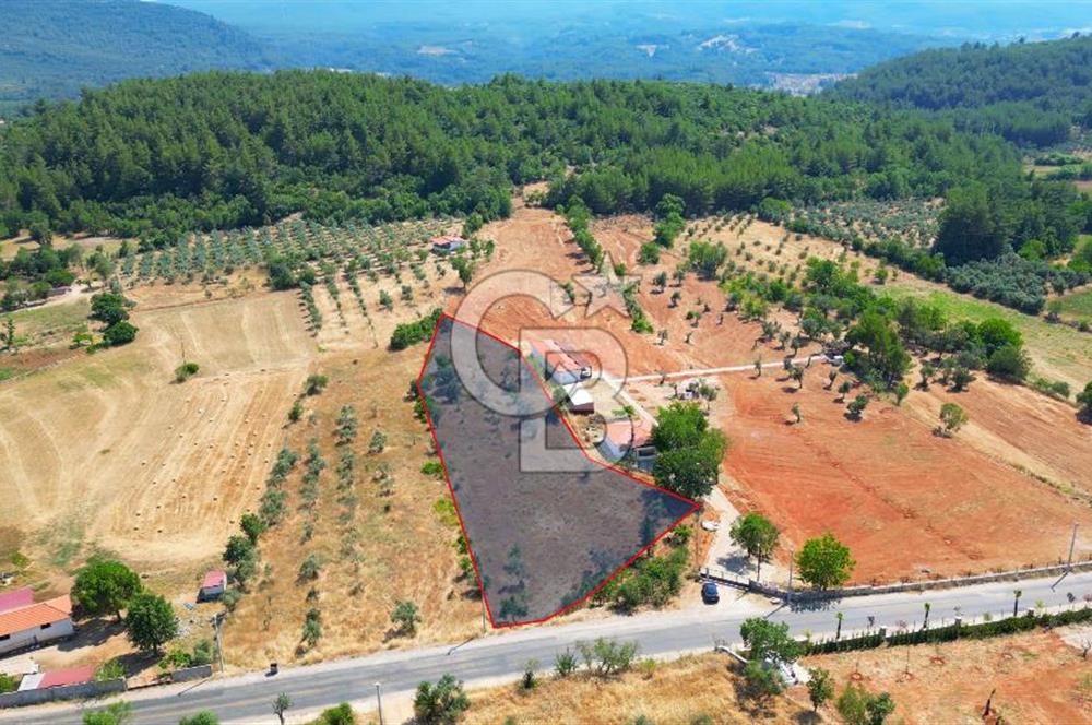 Muğla Yerkesik satılık tarla