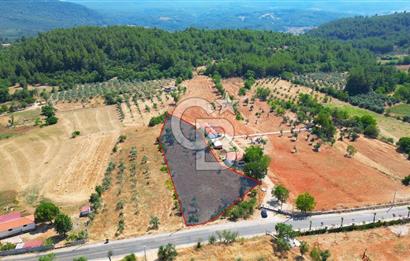 Muğla Yerkesik satılık tarla