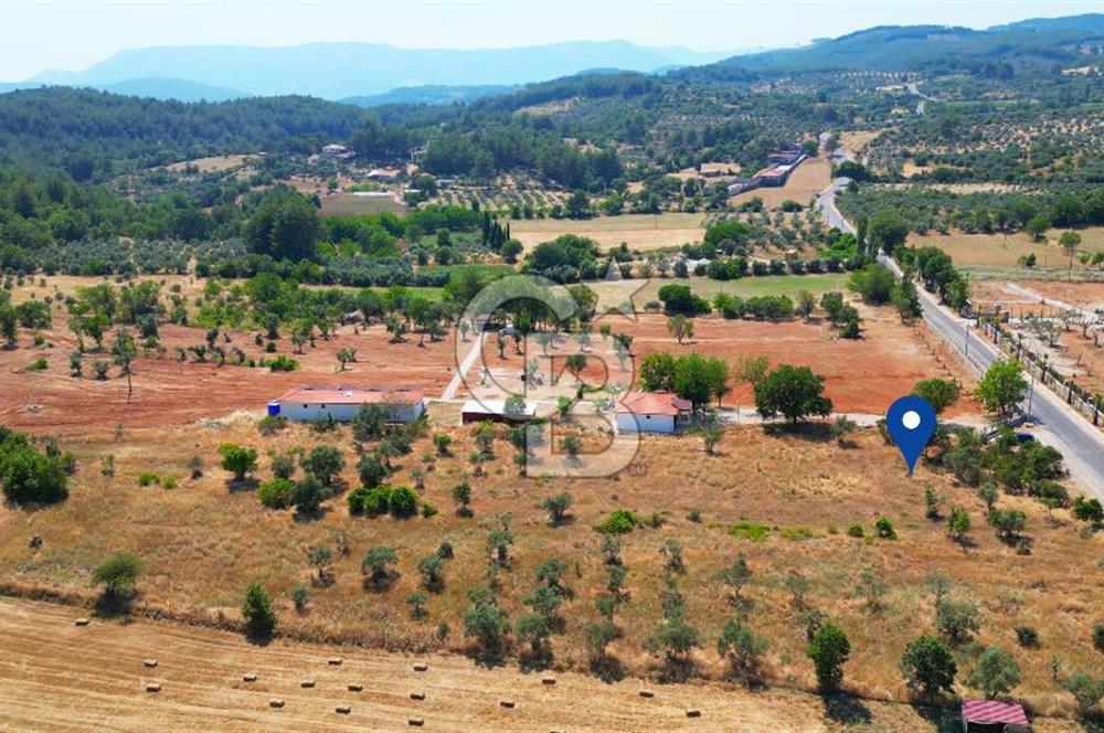 Muğla Yerkesik satılık tarla