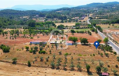 Muğla Yerkesik satılık tarla
