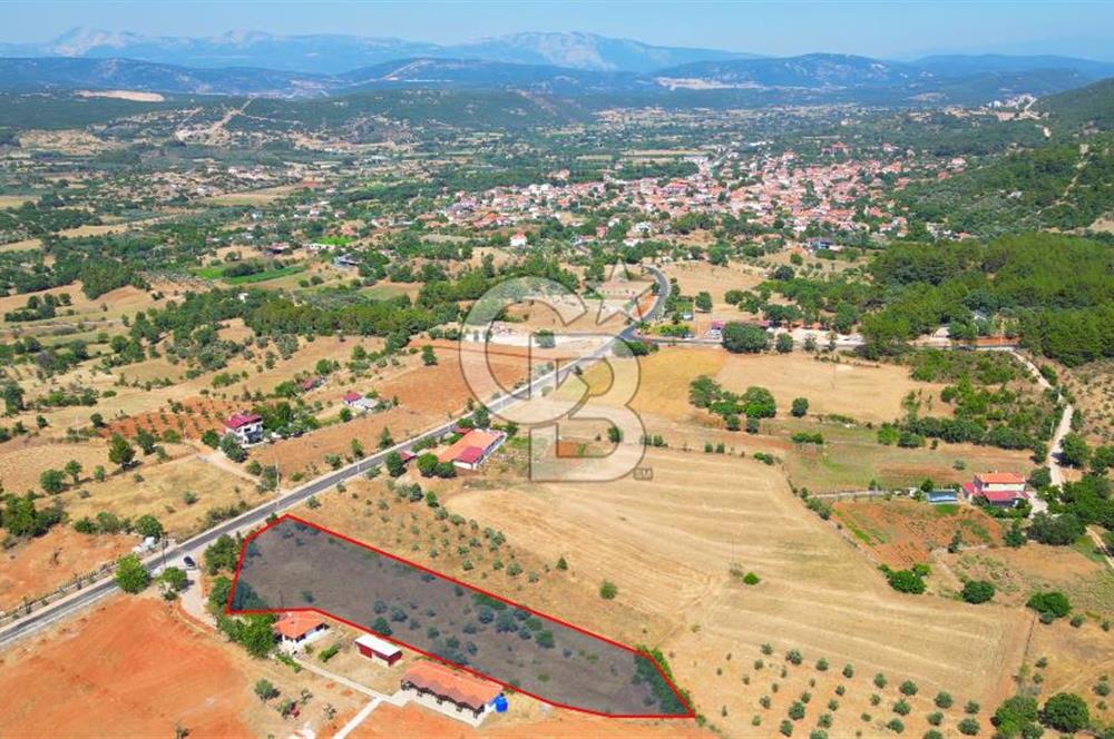 Muğla Yerkesik satılık tarla