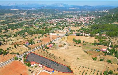 Muğla Yerkesik satılık tarla