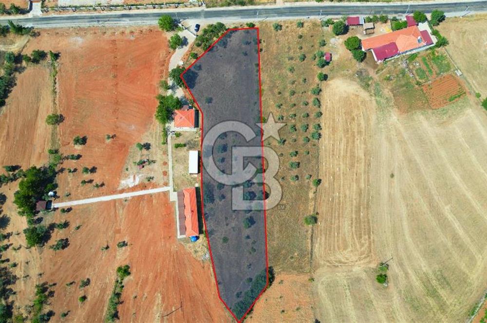 Muğla Yerkesik satılık tarla