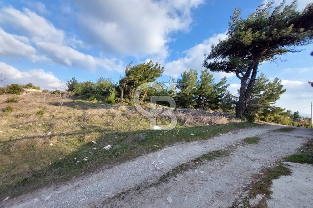 BORNOVA BEŞYOL ÇİÇEKLİKÖY YAKINI FIRSAT SATILIK ARSA