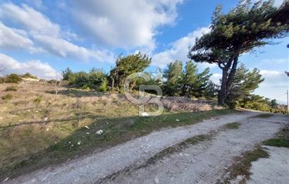 BORNOVA BEŞYOL ÇİÇEKLİKÖY YAKINI FIRSAT SATILIK ARSA