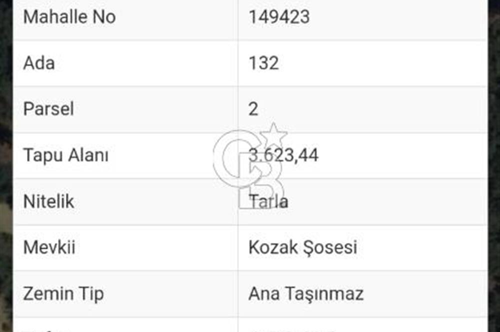 İZMİR BERGAMA İNCECİKLERDE TEK TAPU FIRSAT TARLA 