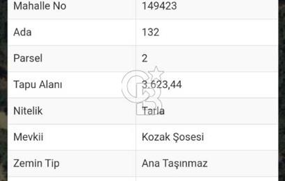 İZMİR BERGAMA İNCECİKLERDE TEK TAPU FIRSAT TARLA 