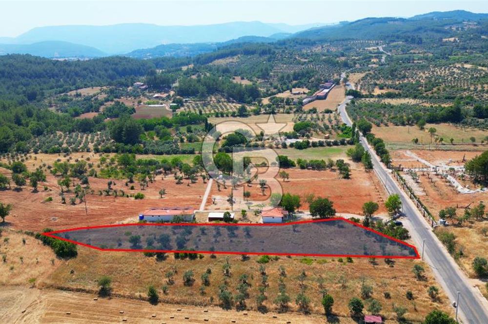 Muğla Yerkesik satılık tarla